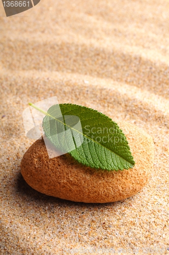 Image of zen
