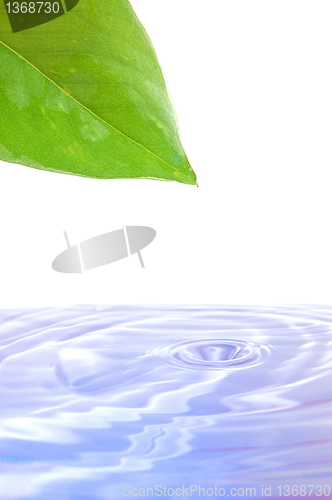 Image of health and wellness concept 