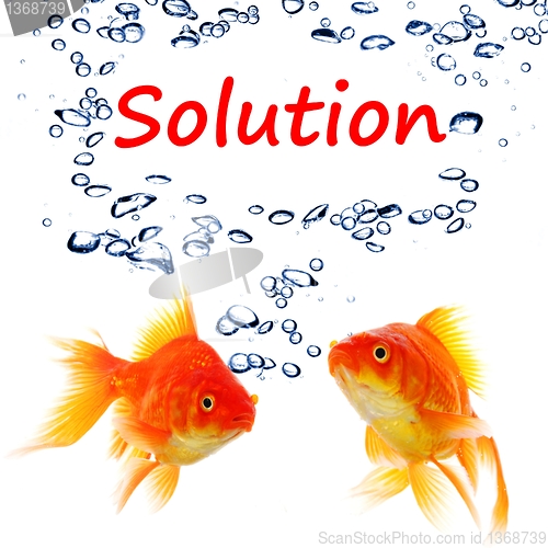 Image of solution