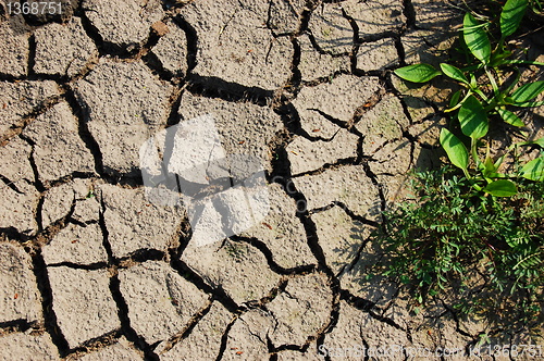 Image of dry soil