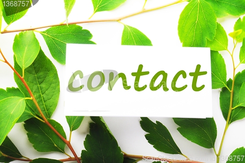 Image of contact