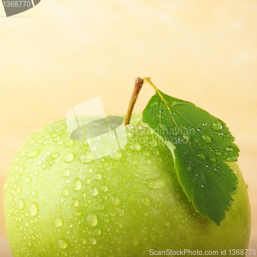 Image of apple