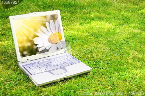 Image of laptop and flower