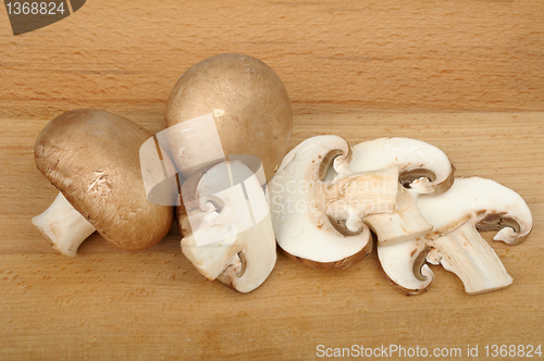 Image of brown champignon