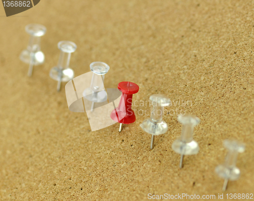 Image of plastic thumbtack on cork board