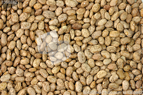 Image of pinto beans background 