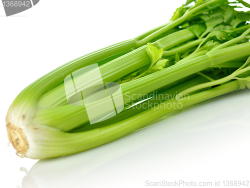 Image of celery 