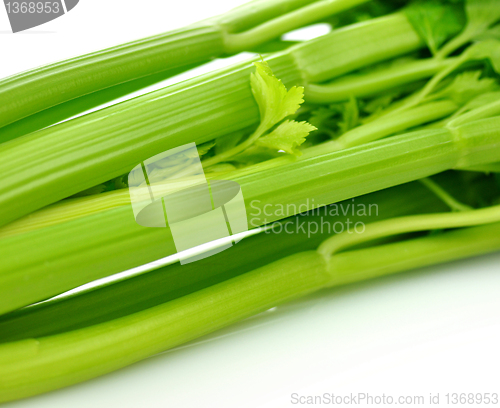 Image of celery 