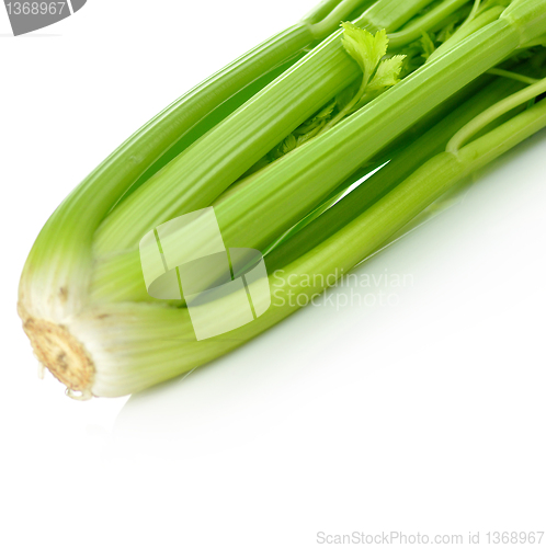 Image of celery 