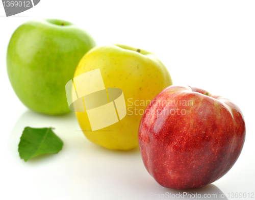 Image of green, red and yellow apples 
