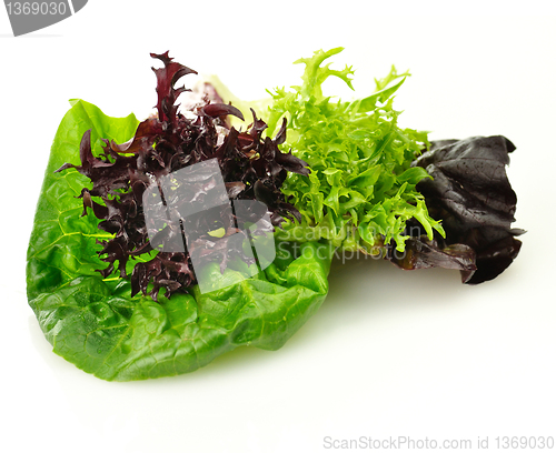 Image of fresh salad leaves assortment 