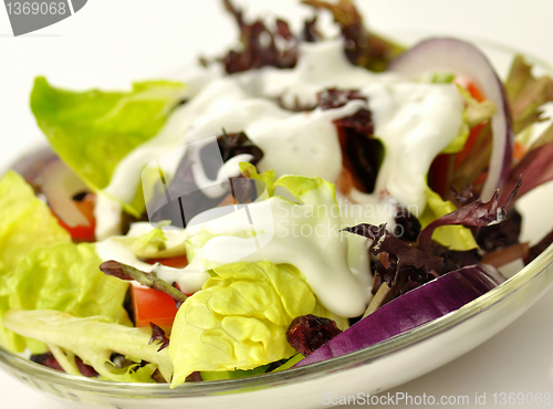 Image of fresh salad