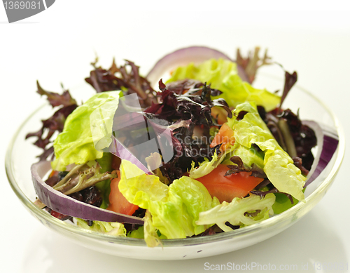 Image of fresh salad 