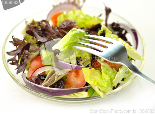 Image of fresh salad