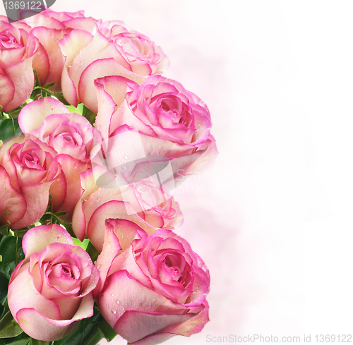 Image of pink fresh roses 