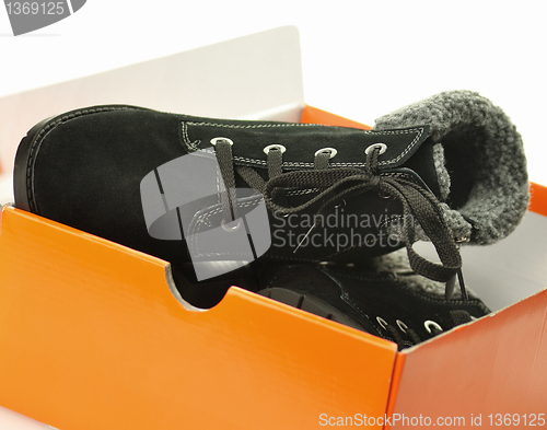 Image of female new Black  boots in a box