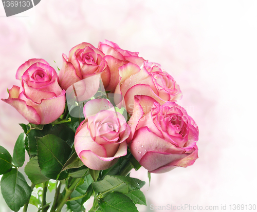 Image of pink fresh roses 