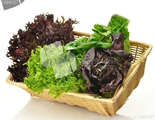 Image of fresh salad leaves assortment