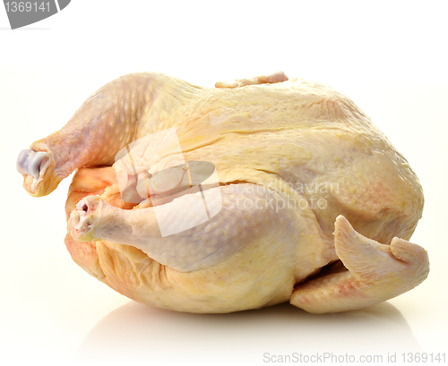 Image of raw chicken 