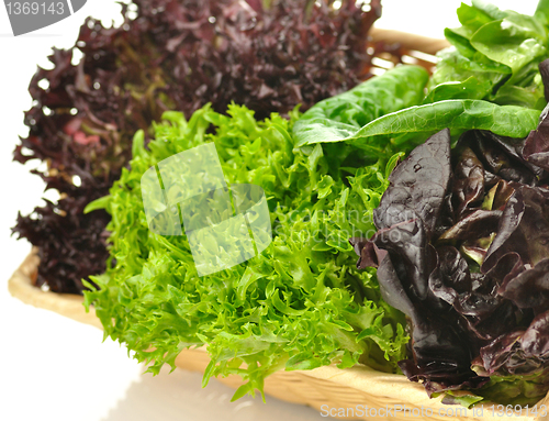 Image of fresh salad leaves assortment