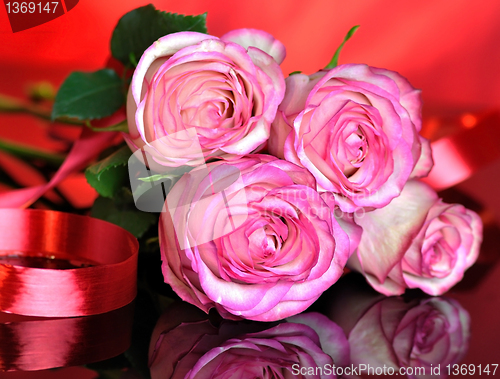 Image of pink roses