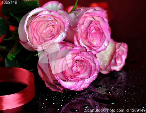 Image of pink roses