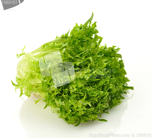 Image of green lettuce