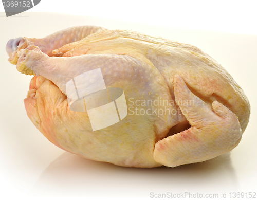 Image of raw chicken 