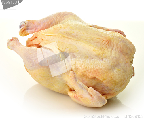Image of raw chicken