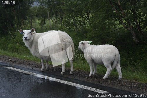 Image of walking by the road