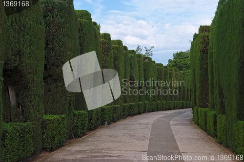 Image of Curved pathway in the famous gardens of Alhambra 