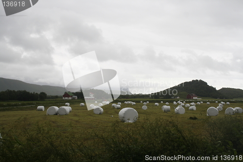 Image of farm