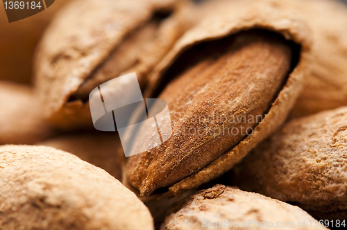 Image of Sweet almonds with kernel 