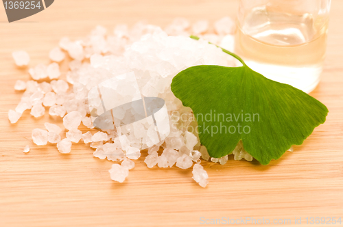 Image of fresh leaves ginko biloba essential oil and sea salt - beauty tr