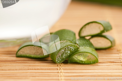 Image of aloe vera - leaves and face cream