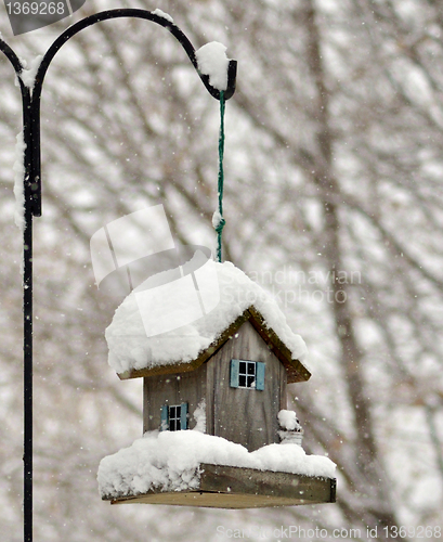 Image of bird feeder in the winter park 