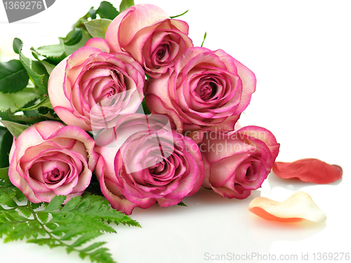 Image of pink roses 