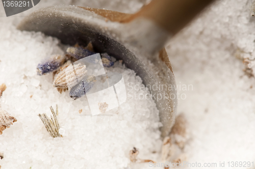 Image of Lavender Sugar