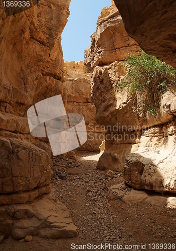 Image of Narrow desert canyon