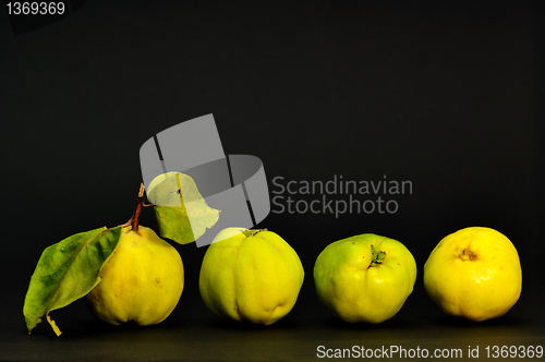 Image of Quince fruit