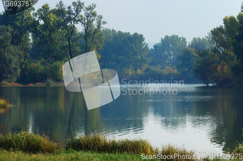Image of Fall silence