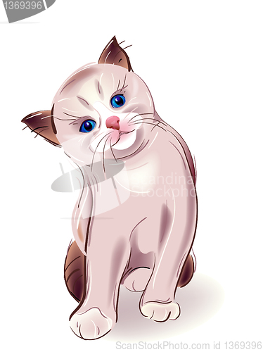Image of  hand drawn portrait of blue-eyed  little kitten. Thai kitten si