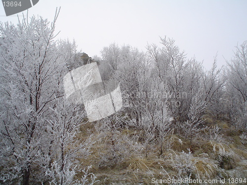 Image of cold day