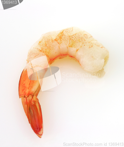 Image of shrimp on a white background 