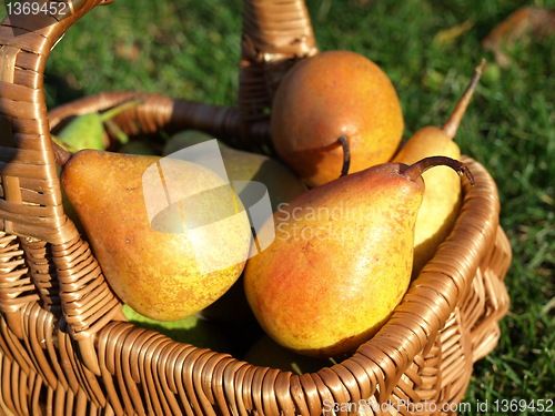 Image of pears