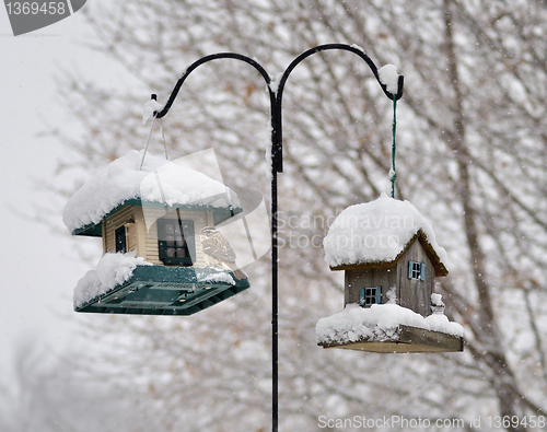 Image of bird feeders in the winter park