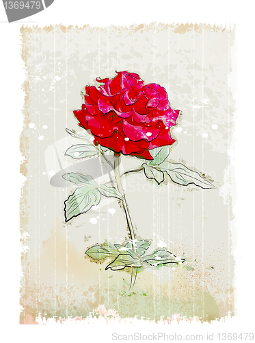 Image of vintage red rose