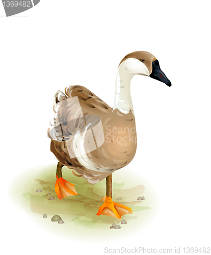 Image of Walking domestic goose.Watercolor style