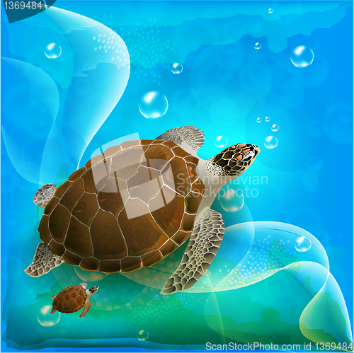 Image of turtles family swimming in the ocean 