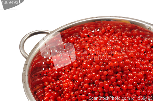 Image of Fresh red currant berries with water drops in colander - isolated